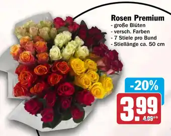 HIT Rosen Premium Angebot