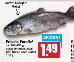 HIT Frische Forelle Angebot