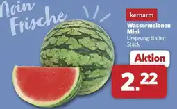 Combi kernarm Wassermelonen Mini Angebot