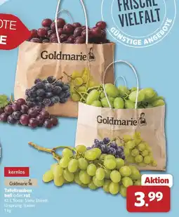 Combi Goldmarie Tafeltrauben hell oder rot Angebot
