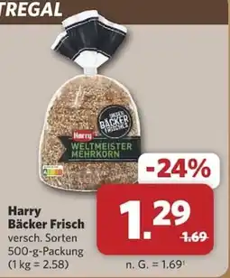 Combi Harry Bäcker Frisch Angebot
