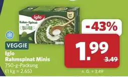 Combi Iglo Rahmspinat Minis Angebot