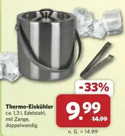 Combi Thermo-Eiskühler Angebot