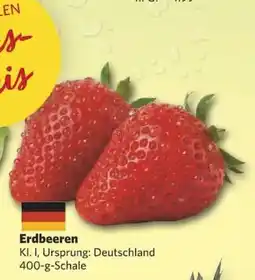 Combi Erdbeeren Angebot