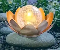 Thomas Philipps LED Solar Lotusblume Angebot