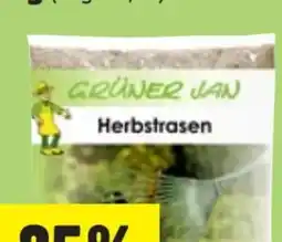 Thomas Philipps Grüner Jan Rasensamen Herbstrasen Angebot