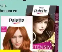 Thomas Philipps Poly Palette Colorationen Angebot