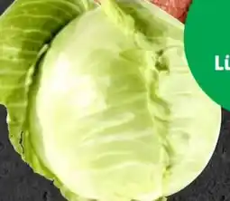 Thomas Philipps Weißkohl Angebot