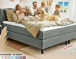 Ostermann Sansibar Das Familienboxspringbett Billund Angebot