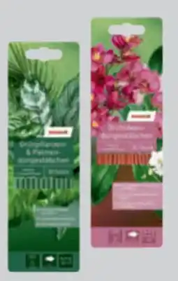 toom Baumarkt Toom Grünpflanzen-und Orchideenstäbchen Angebot