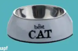 toom Baumarkt Katzennapf Best Cat Angebot