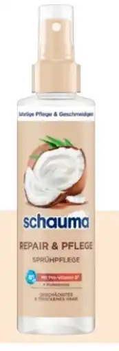 Rossmann Schwarzkopf Schauma Sprühspülung Angebot