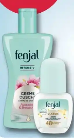 Rossmann Fenjal Dusche Angebot