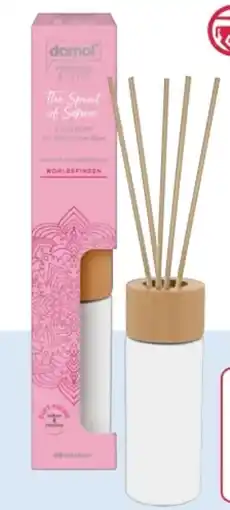 Rossmann Domol Perfume & Style Raumduft Angebot