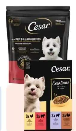 Rossmann Cesar Hundefutter Angebot