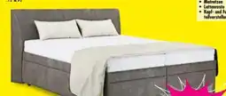 Möbel Boss Polsterbett Evita Angebot