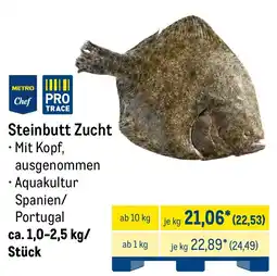 METRO Steinbutt Zucht Angebot