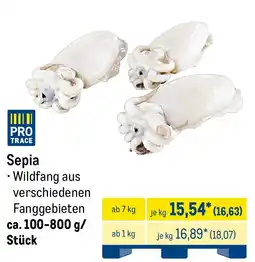 METRO Sepia Angebot