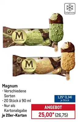 METRO Magnum Angebot
