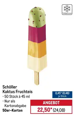 METRO Schöller Kaktus Fruchteis Angebot