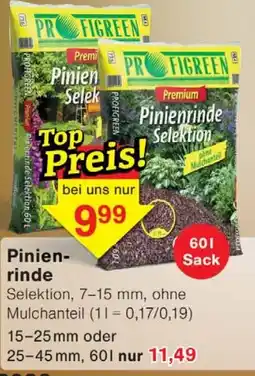 Wiglo Wunderland Pinienrinde Selektion Angebot