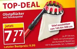 Sonderpreis Baumarkt Obstpflücker mit Teleskopstiel Angebot
