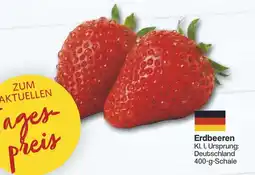 Famila Nord West Erdbeeren Angebot