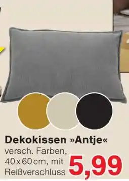 Wiglo Wunderland Dekokissen »Antje« Angebot
