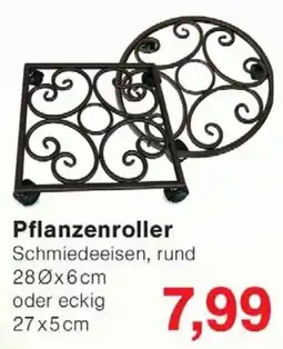 Wiglo Wunderland Pflanzenroller Schmiedeeisen Angebot