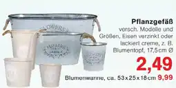 Wiglo Wunderland Pflanzgefäß Angebot