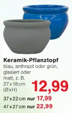 Wiglo Wunderland Keramik-Pflanztopf Angebot