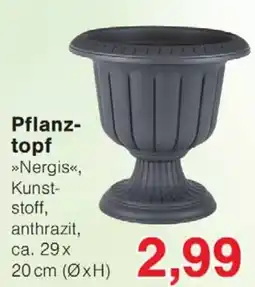 Wiglo Wunderland Pflanztopf »Nergis«, Kunststoff, anthrazit Angebot