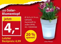 Sonderpreis Baumarkt LED-Solar-Blumentopf Angebot