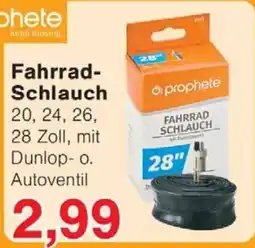 Wiglo Wunderland Fahrrad-Schlauch Angebot