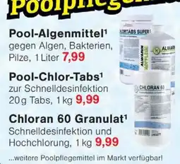 Wiglo Wunderland Pool-Algenmittel ALWARN Angebot