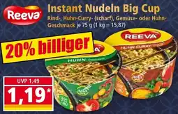 Norma Reeva Instant Nudeln Big Cup Angebot