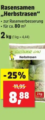 Thomas Philipps Rasensamen herbstrasen Angebot