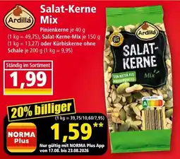 Norma Ardilla Salat-Kerne Mix Angebot