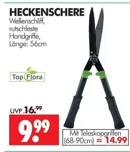 Wreesmann Top flora heckenschere Angebot