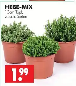 Wreesmann Hebe-mix Angebot