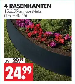 Wreesmann Rasenkanten Angebot