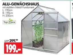 Wreesmann Top flora alu-gewächshaus Angebot