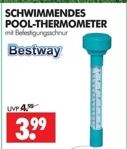 Wreesmann Bestway schwimmendes pool-thermometer Angebot
