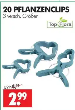 Wreesmann Top flora pflanzenclips Angebot
