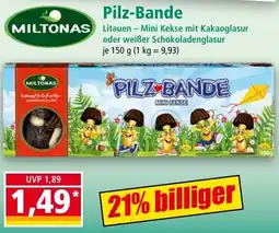 Norma Pilz-Bande Angebot