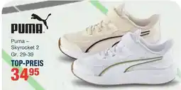 Siemes Schuhcenter Puma - Skyrocket 2 Angebot