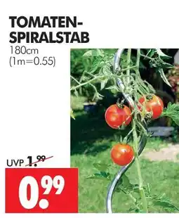 Wreesmann Tomaten-spiralstab Angebot