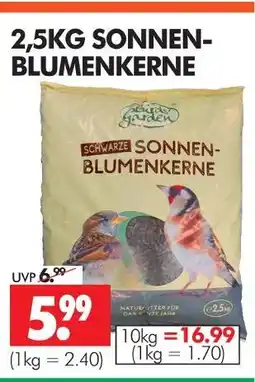 Wreesmann Sonnenblumenkerne Angebot