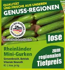 Norma Rheinländer Mini-Gurken Angebot