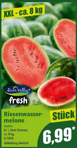 Norma River Valley fresh Riesenwassermelone Angebot